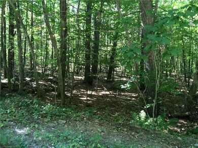 0 Stony Brook Dr unit 1284037, Limerick, ME 04048 - photo 3