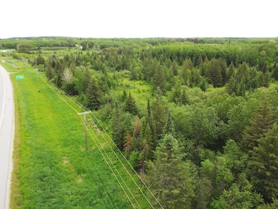 Us-53, Angora, MN 55703 - photo 3