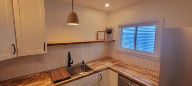 1301 Emerald kitchen sink