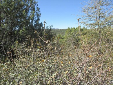 404 S Canpar Way, Payson, AZ 85541 - photo 6