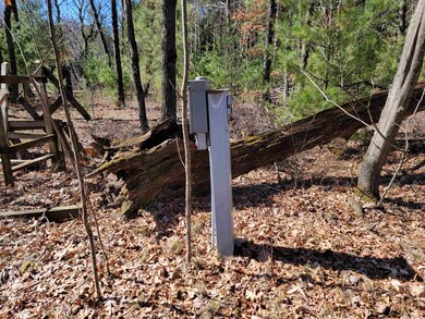 0000 Fremont Ave, Byron, WI 54660 - photo 2