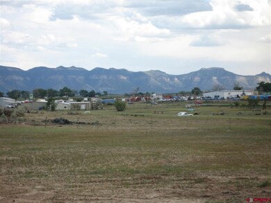 0 Road N 4 unit 683727, Cortez, CO 81321 - photo 3