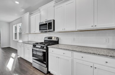Kitchen Cabinets and Range