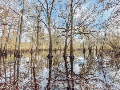 600 SW Santa fe Dr, Fort White, FL 32038 - photo 3