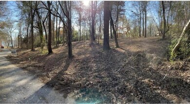 2nd UPDATED picture Cleared Lot