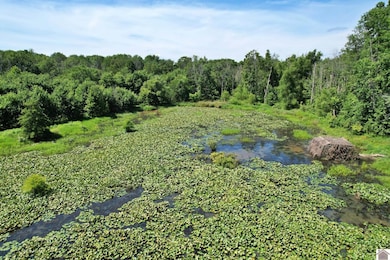 0 Mayfield Rd, Wickliffe, KY 42087 - photo 2