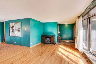 858 Academy Ave, Matteson, IL 60443 - photo 5