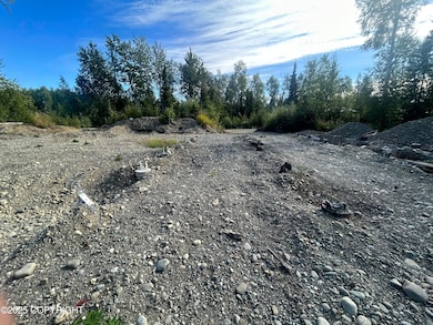 21069 Matsnu Rd, Big Lake, AK 99654 - photo 4