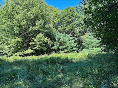 33 Austin Rd, Albion, NY 13302 - photo 4