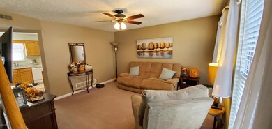 8808 Astrid Ave, Louisville, KY 40228 - photo 3