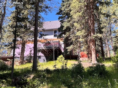 500 Pinon Lake Dr, Divide, CO 80814 - photo 3