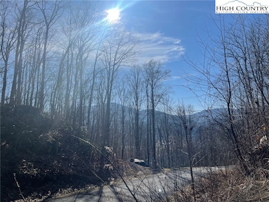 1 Jackson Ridge Rd, Boone, NC 28607 - photo 4