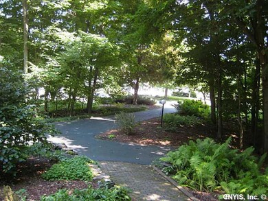 Yard. From front porch looking toward road. Charmi
