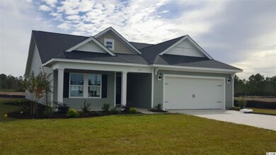 1013 Glenlevit Ln unit Lot 154 Pametto C, Conway, SC 29526 - photo 6