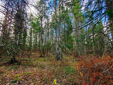 405 Morningside Dr, Newport, VT 05857 - photo 4