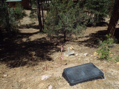 Front north pin