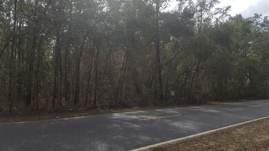 A & B Franklin St, Darien, GA 31305 - photo 5