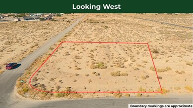 2730 S Olvido Ave, Pahrump, NV 89048 - photo 5