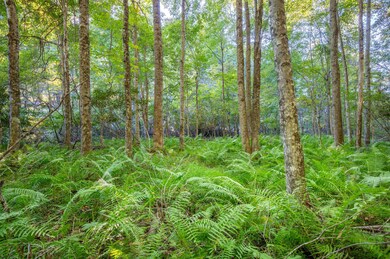 1287 Cox Store Rd SW, Floyd, VA 24091 - photo 6