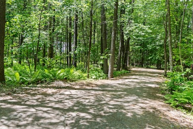 46 Christmas Tree Ln_102