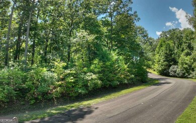 139 Whispering Ridge Ct, Ellijay, GA 30540 - photo 5