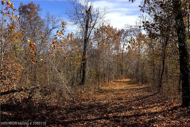 TRACT 1 SE 575, Locust Grove, OK 74352 - photo 3