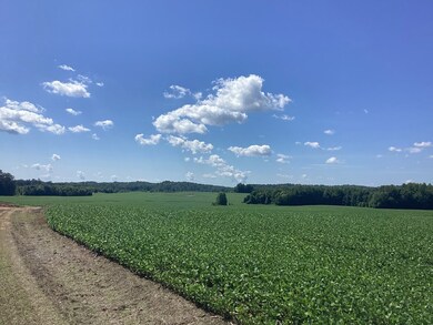 0 Swor Rd, Springville, TN 38256 - photo 5