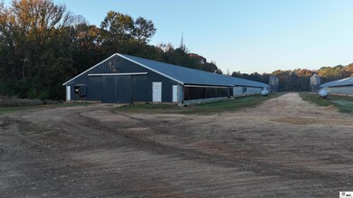 1034 Mccrary Rd, Downsville, LA 71234 - photo 4