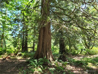 24908 144th Ave E, Graham, WA 98338 - photo 7