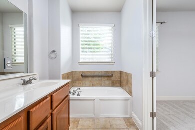 Full bathroom featuring vanity, a garden tub, and