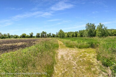 IMG_4730