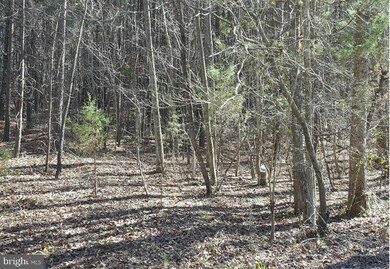 0 Mt Airy Dr unit 1000142911, Ruther Glen, VA 22546 - photo 4