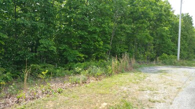 View from across the road from property