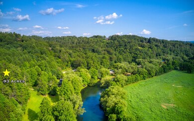 0 Bear Walk Rd unit 291442, Mineral Bluff, GA 30559 - photo 2