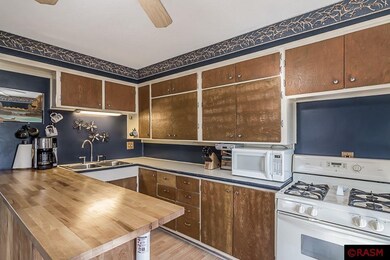 320 Market St, Le Sueur, MN 56058 - photo 2