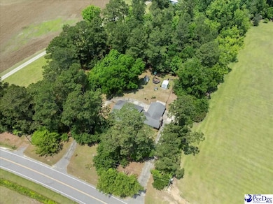821 W Shirley Rd, Pamplico, SC 29583 - photo 4