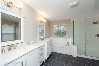 340 Lake Plumleigh Way, Algonquin, IL 60102 - photo 4