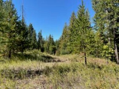 XXXX Burnt Valley Rd, Chewelah, WA 99109 - photo 2