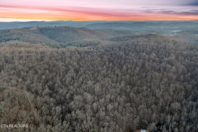 21-web-or-mls-DJI_0625