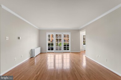 3336 Spring Ln unit A-26, Baileys Crossroads, VA 22041 - photo 4