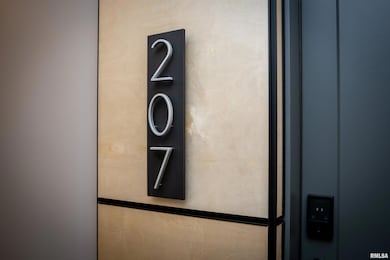 1001 SW Adams St unit 207, Peoria, IL 61602 - photo 4