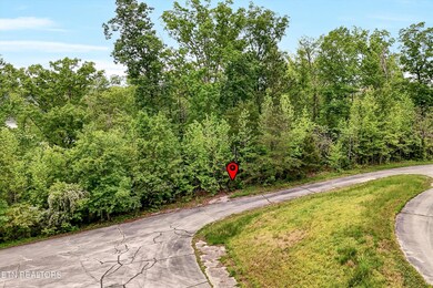 Lot 23