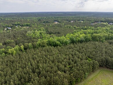 5750 Cobbham Rd, Appling, GA 30802 - photo 6