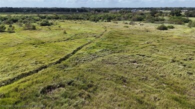445 Metheny Rd, Wauchula, FL 33873 - photo 4