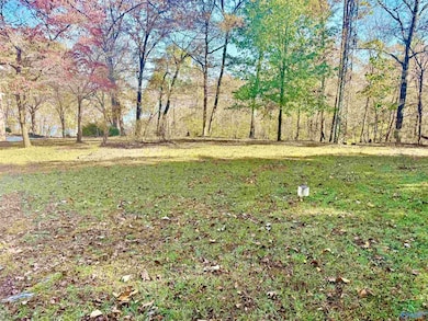 .71 Acres County Road 129, Bremen, AL 35033 - photo 3