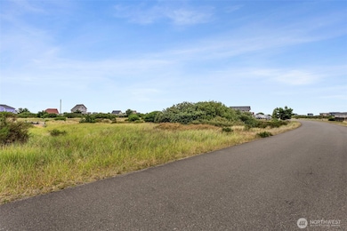 438 S Portal Loop SW, Ocean Shores, WA 98569 - photo 6