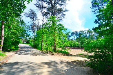 6 Majors Cove Ln, Edgartown, MA 02539 - photo 3