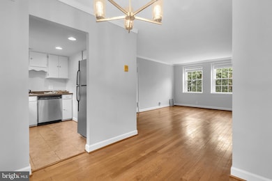 2971 S Columbus St unit B1, Arlington, VA 22206 - photo 7
