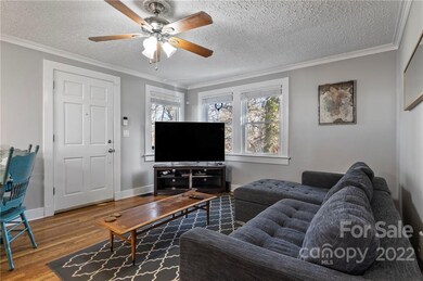 95 Rock Hill Rd, Asheville, NC 28803 - photo 5