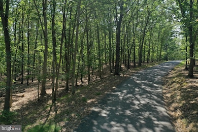 0 Walnut Ridge Rd SE unit MDAL2011226, Oldtown, MD 21555 - photo 3